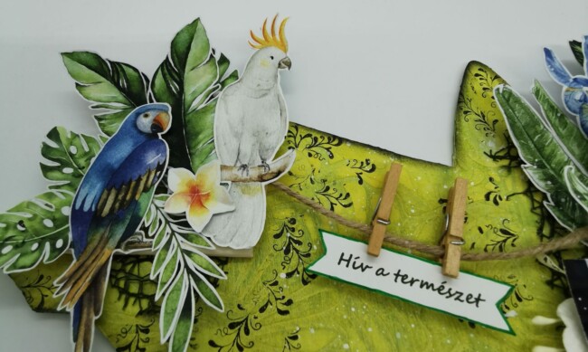 IMG_20210630_161803 főkép