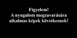 felkavaro