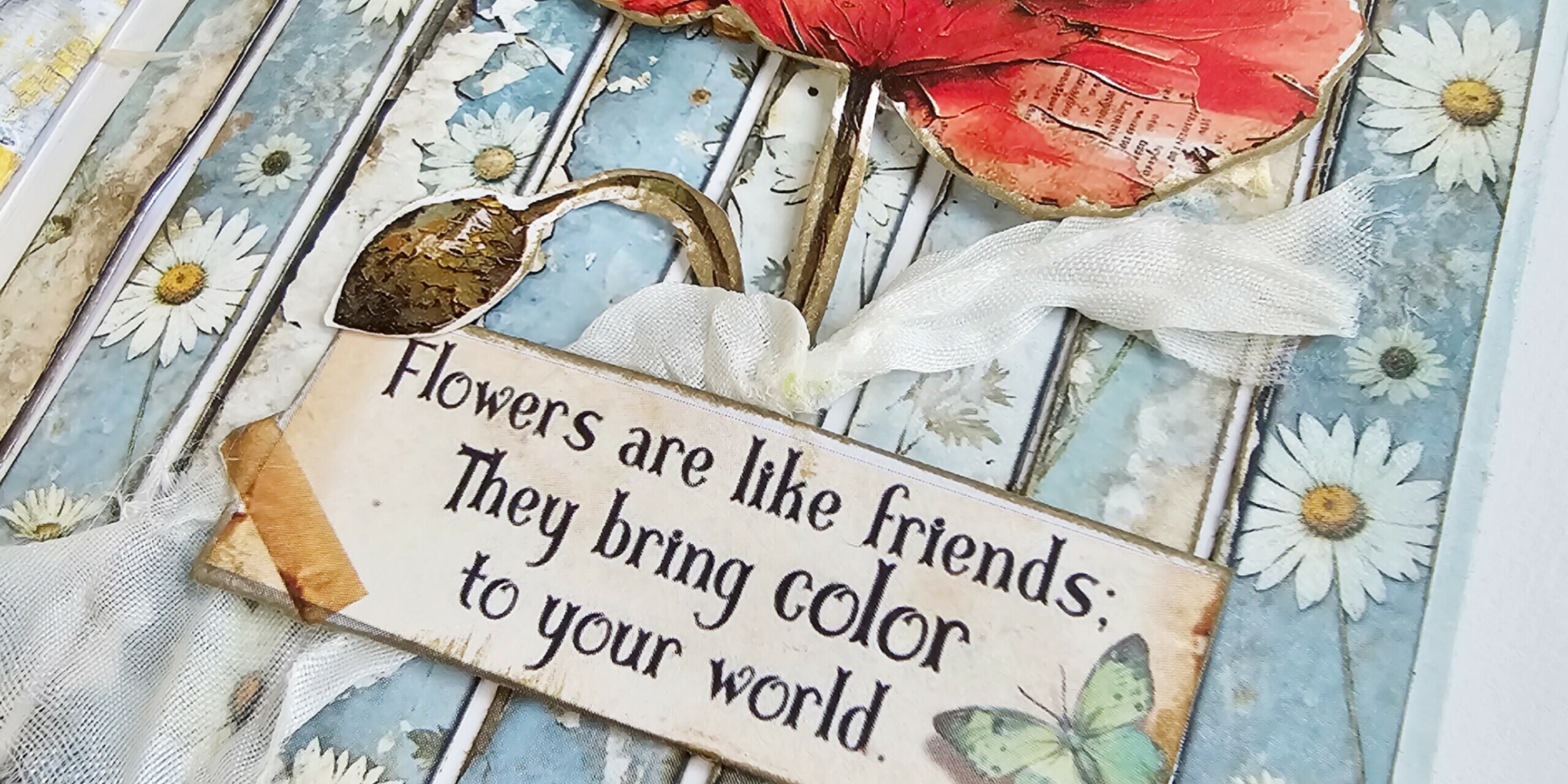 Picsart_25-05-16_18-15-56-301