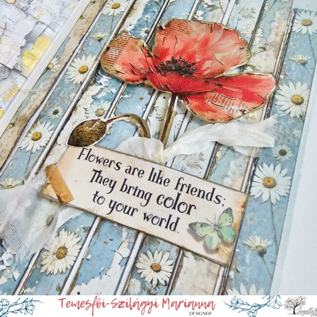 Picsart_25-05-16_18-15-56-301